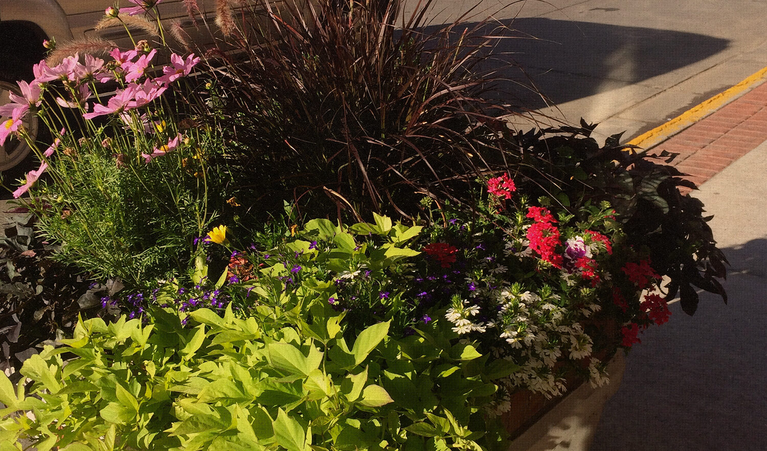 A close-up view of a planter filled with flowers and greenery.