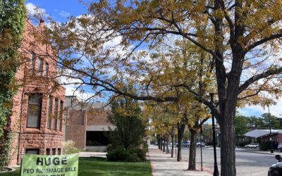 TREES ALONG 18TH STREET Yellow foliage frames a sidewalk in Downtown Cheyenne.