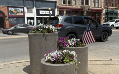 LINCOLNWAY-PLANTERS A trio of cement planters displays colorful white and purple flowers.