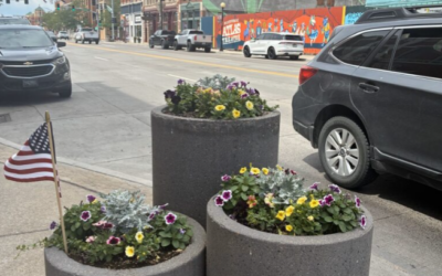 LINCOLNWAY-PLANTERS A trio of cement planters displays colorful yellow and purple flowers.