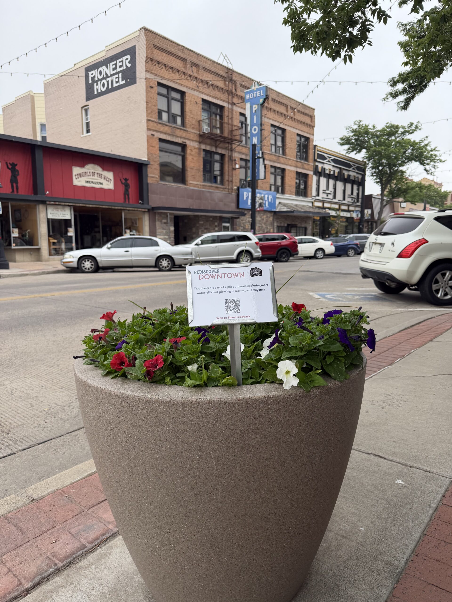 Pilot program planter