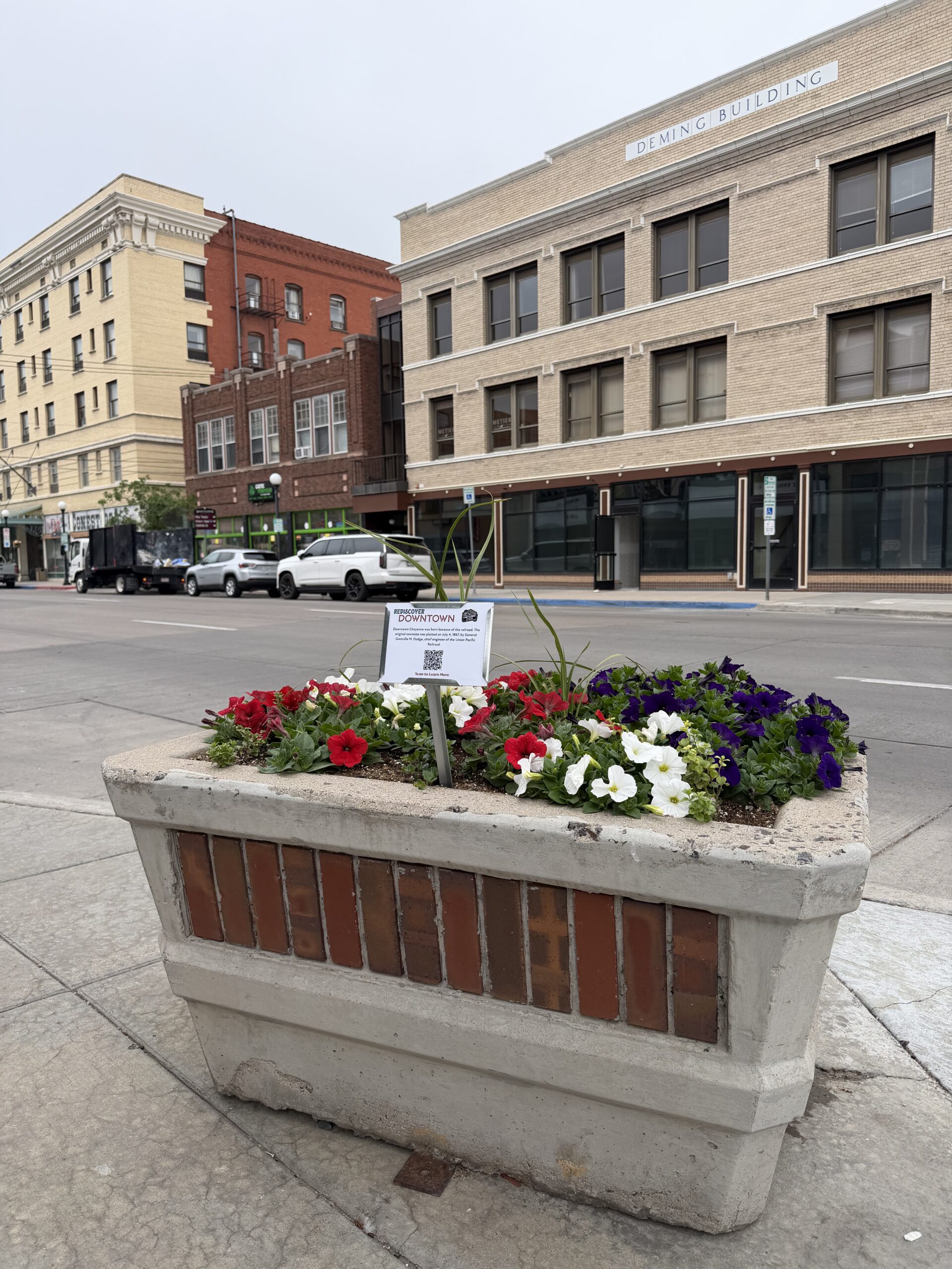 Planter in downtown Cheyenne