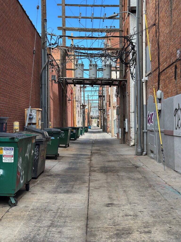 Alleyway Cleanup in Downtown Cheyenne